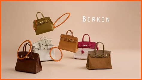 hermes birkin rottening bag|Hermes Birkin catalogue.